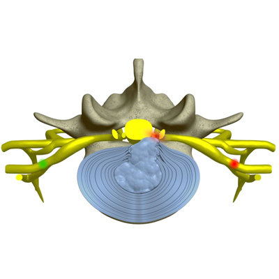 Chiropractic Patient Education