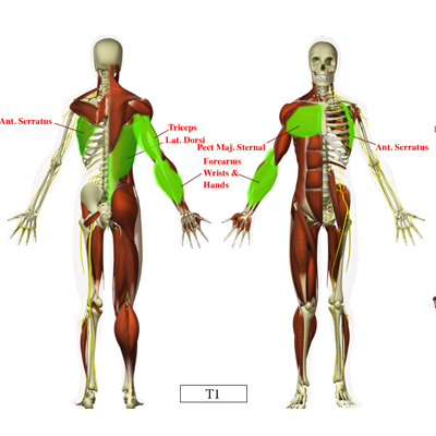 Chiropractic Patient Education