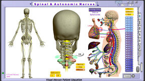 np_spinal_autonomic_cer_sublux_thumb