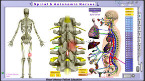np_spinal_autonomic_lumbar_sublux_thumb